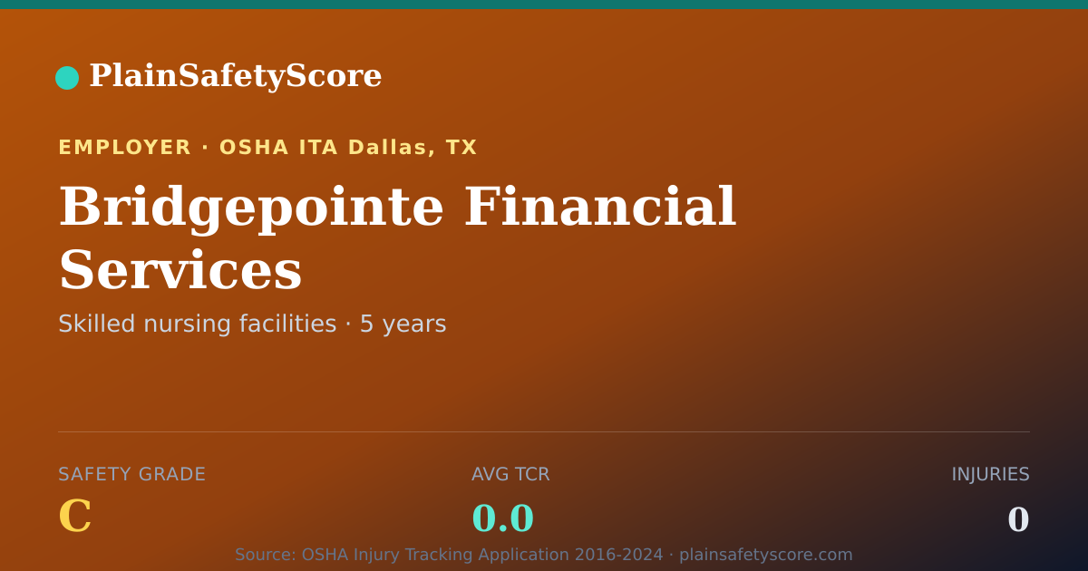 Shareable card for Bridgepointe Financial Services Safety Grade C (TCR 0.0)