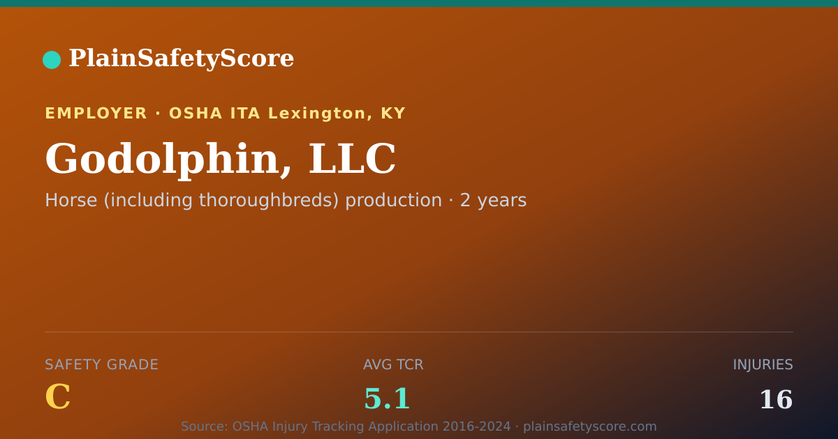Shareable card for Godolphin, LLC Safety Grade C (TCR 5.1)