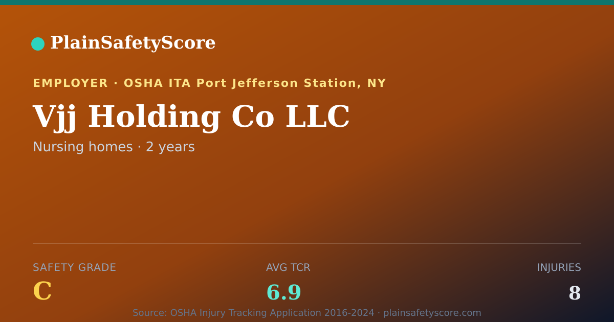 Shareable card for Vjj Holding Co LLC Safety Grade C (TCR 6.9)
